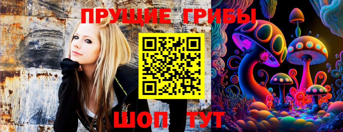 Псилоцибиновые грибы мицелий  Вход с VPN  Галлюциногенные грибы GOLDEN TEACHER  Чернушка 